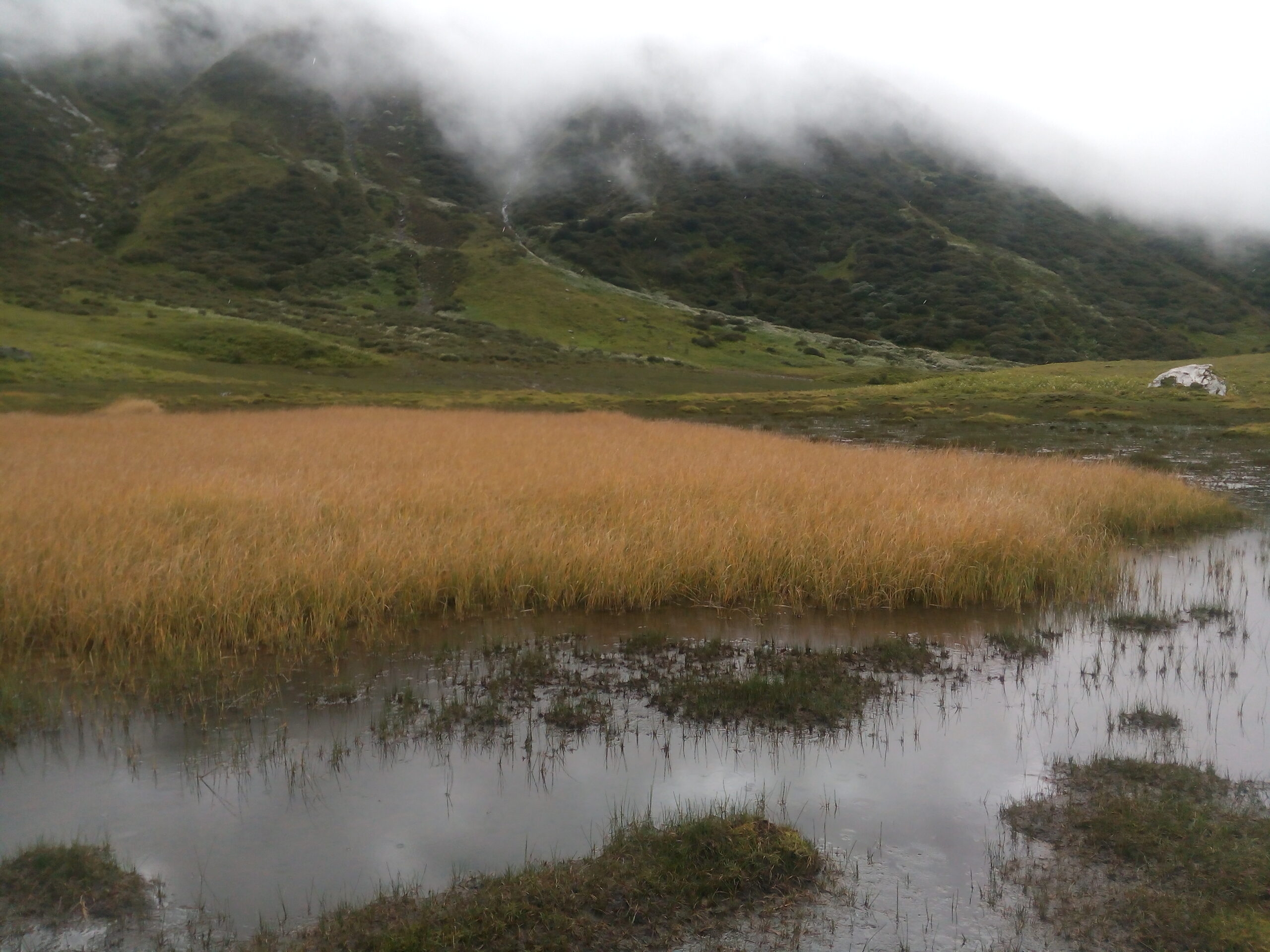 dyalishera trek