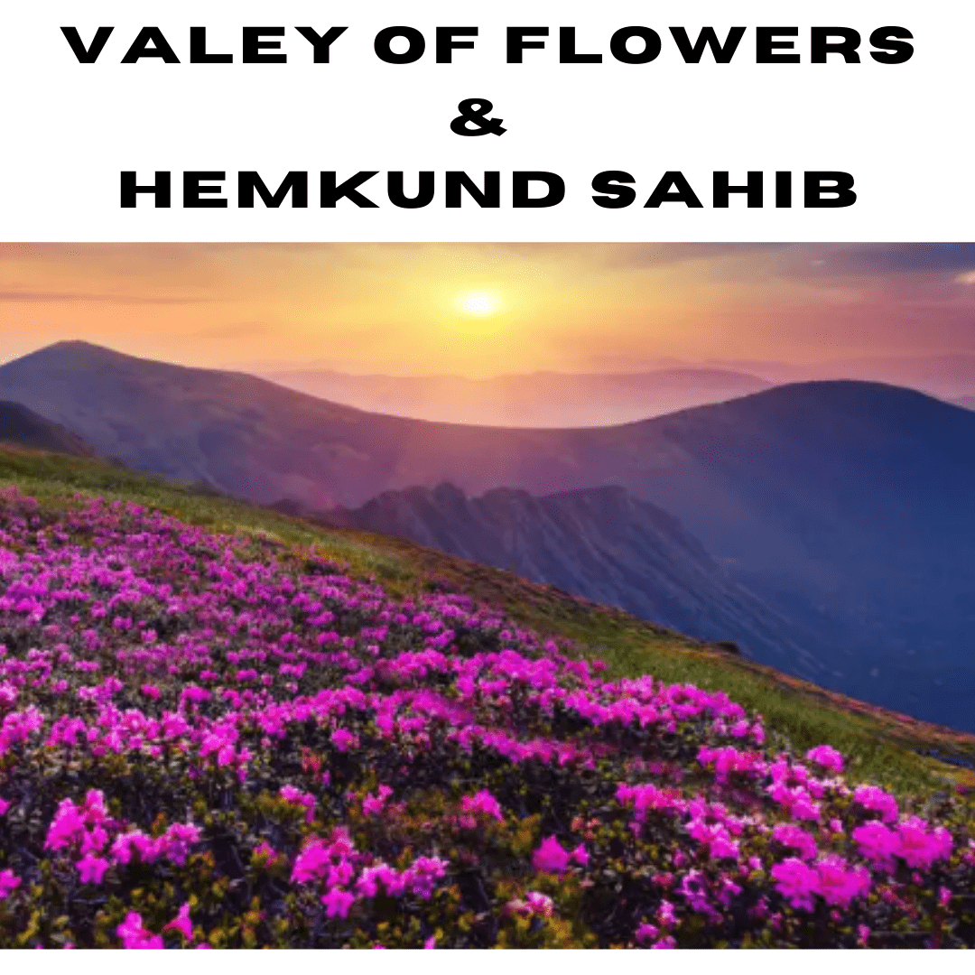 Valley of flowers