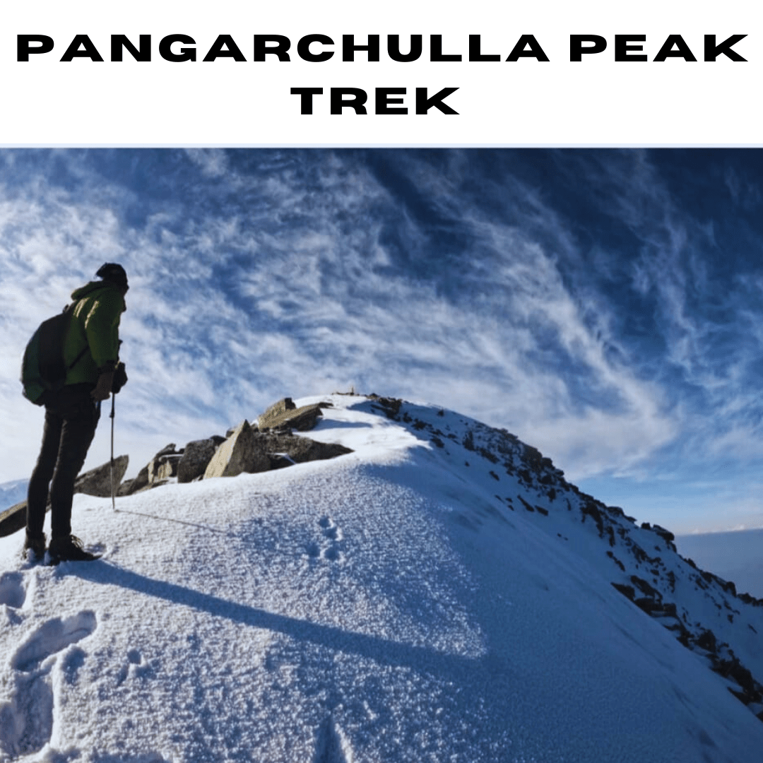 pangarchulla peak trek 2023