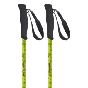 trekking poles