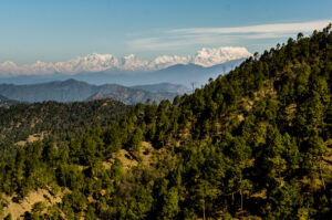 Binsar