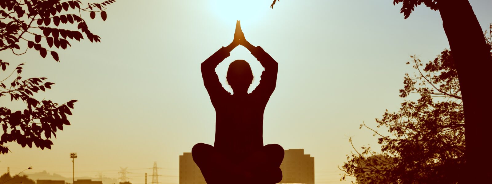 Best Yoga and Meditation Centre in Rishikesh