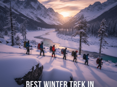 Gemini_Generated_Image_g55du1g55du1g55d